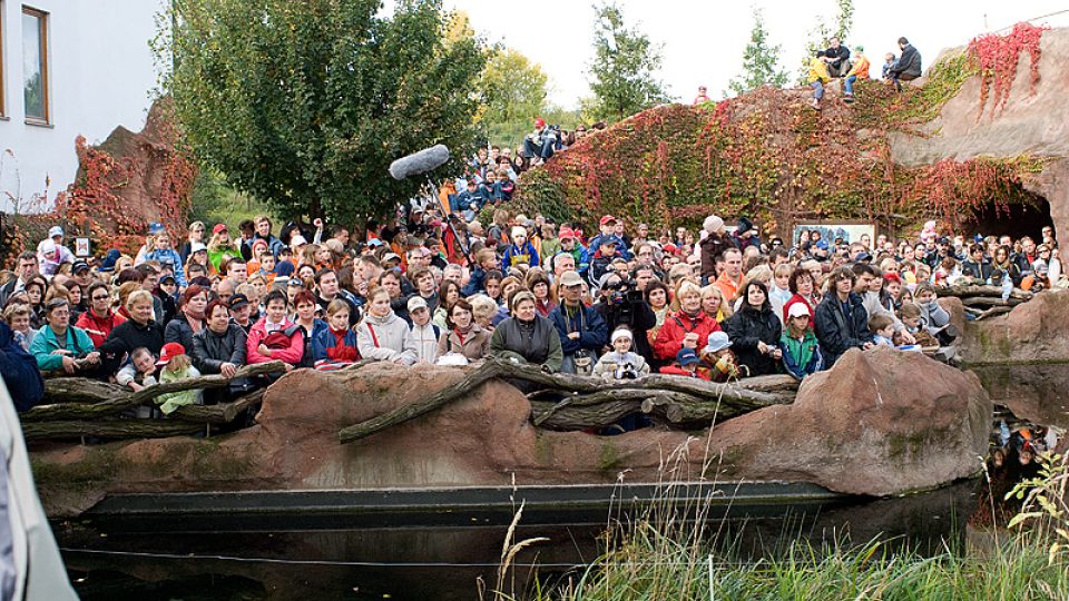 Křest Tatu a DVD Odhalení Nové příběhy