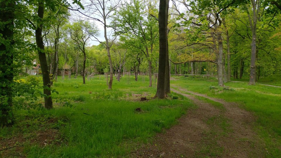 Park u ruiny zámku v Kamenné u Milína