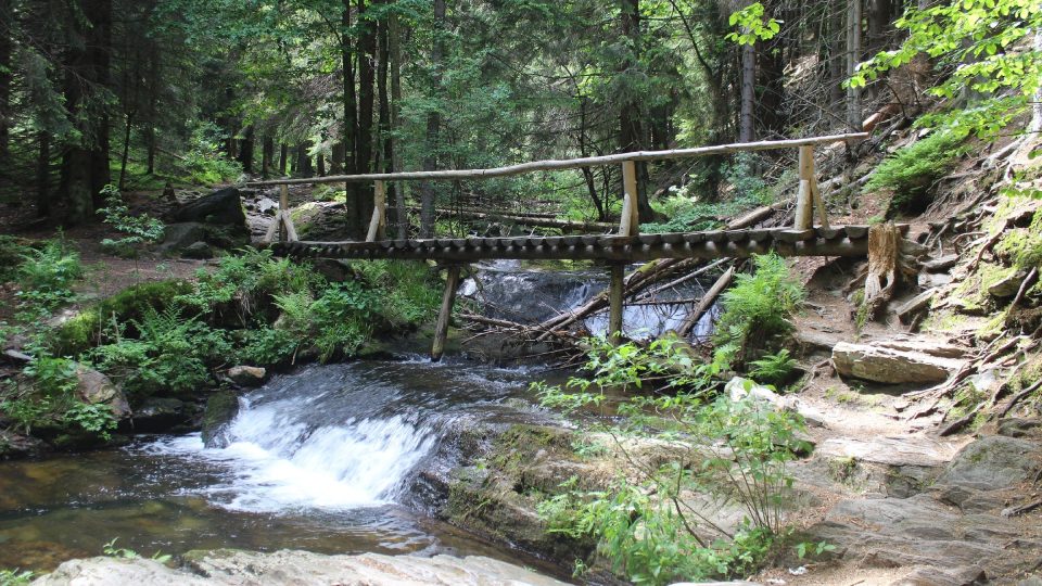 Jde o jednu z nejnáročnějších turistických tras v Jeseníkách