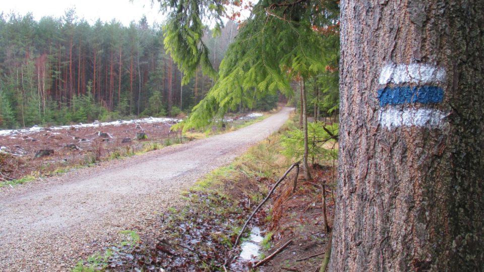 K rozhledně na Kotli vás dovede modrá trasa