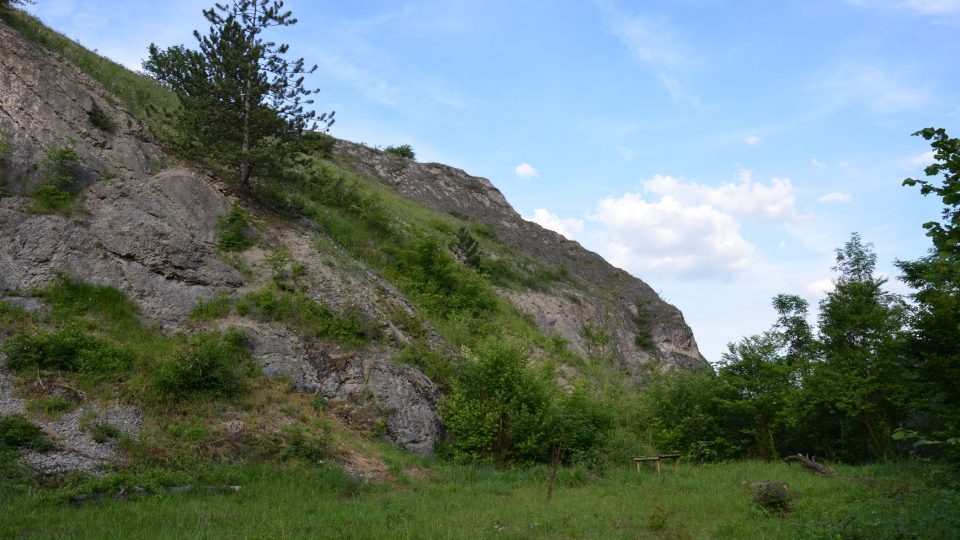 Přírodní rezervace Homolka přes ulici vedle vápenky