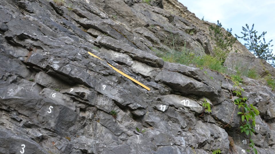 Světově uznávaný stratotyp je vyznačený žlutou barvou