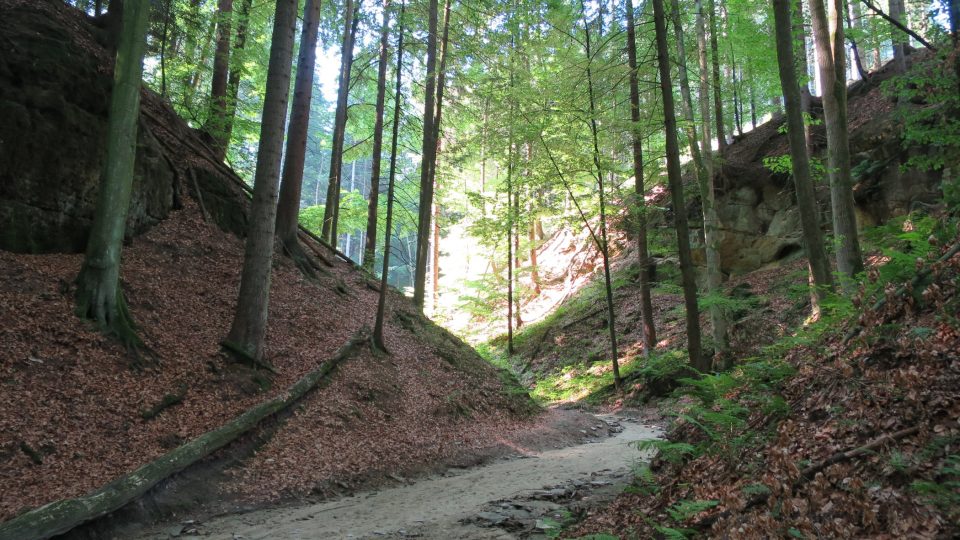 Cesta Pivnickou roklí vede korytem Pivnického potoka