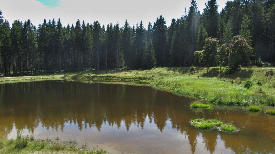 Vodu zbarvují rašelinné výluhy