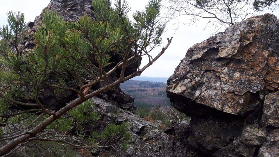 Členité skály vytvářejí přirozené vyhlídky na křivoklátské lesy