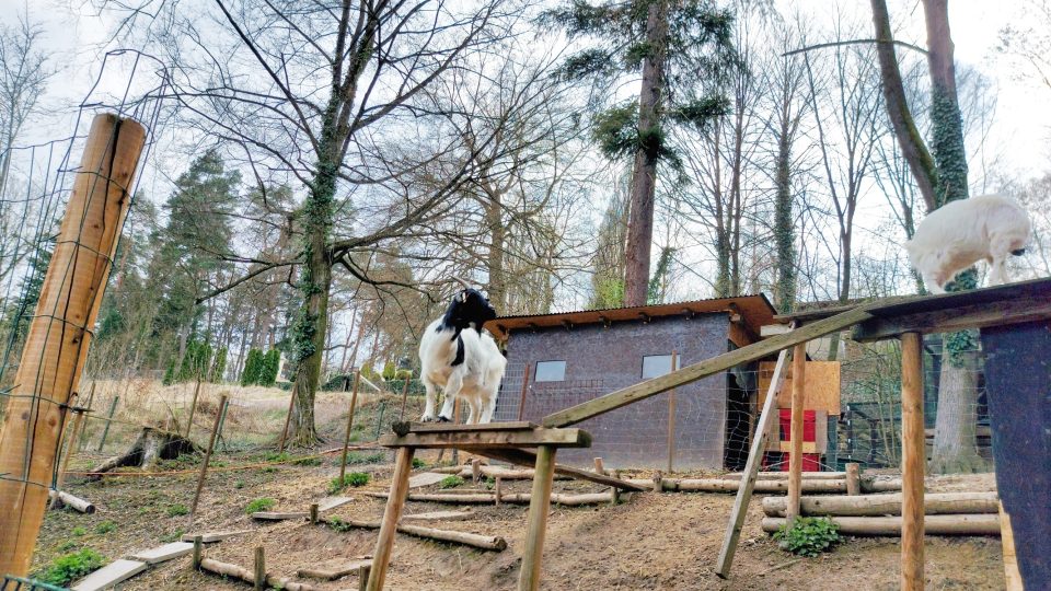 Trenér zvířat František Šusta a jeho svěřenci