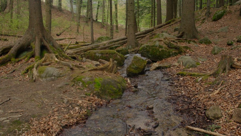 Cesta vody od studánky do Bučinského potoka