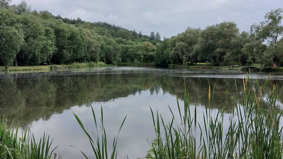 Hlavní rybník Vodního parku Čabárna je oblíbeným místem pro sportovní rybaření