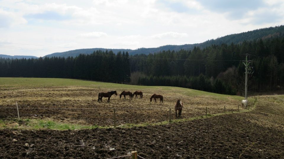 Krajina nad Ústím nad Orlicí