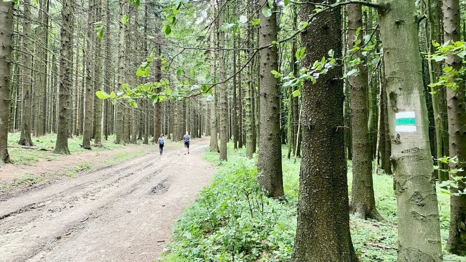 Poslední dva kilometry jdeme po zelené turistické značce zvané Via Czechia