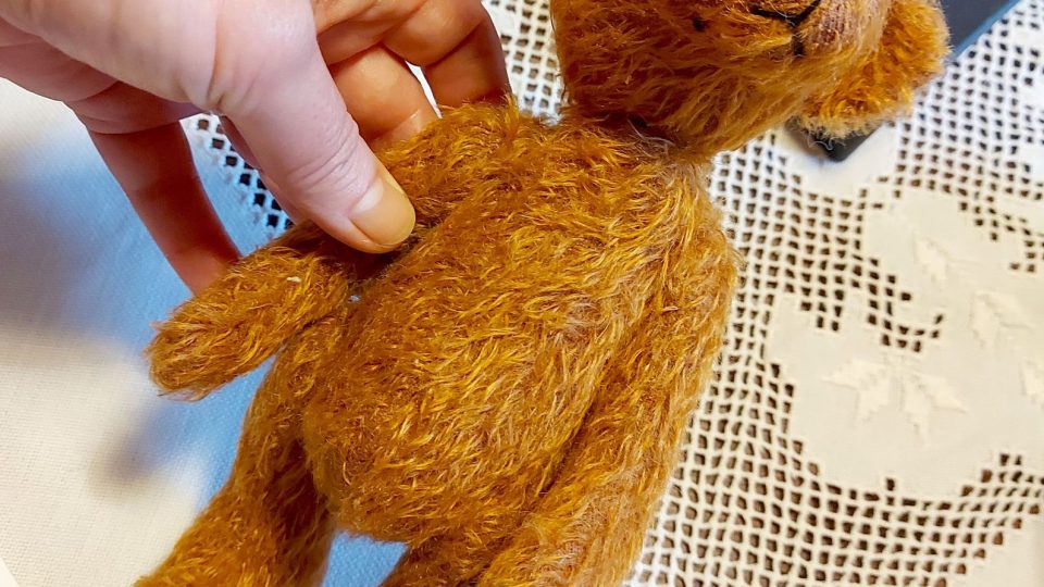 Ještě oči, obléknout, a medvídek bude hotov | foto: Jolana Nováková, Český rozhlas Ještě oči, obléknout, a medvídek bude hotov