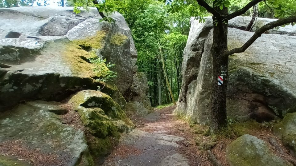 Skály Králky jsou chráněnou přírodní památkou. Vede k nim zelená turistická značka