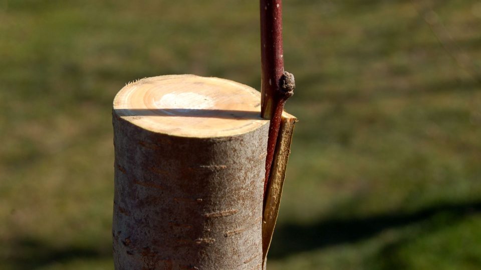 5 Podle tloušťky podnože přidat ještě roub či dva, zatáhnout páskou, zatřít