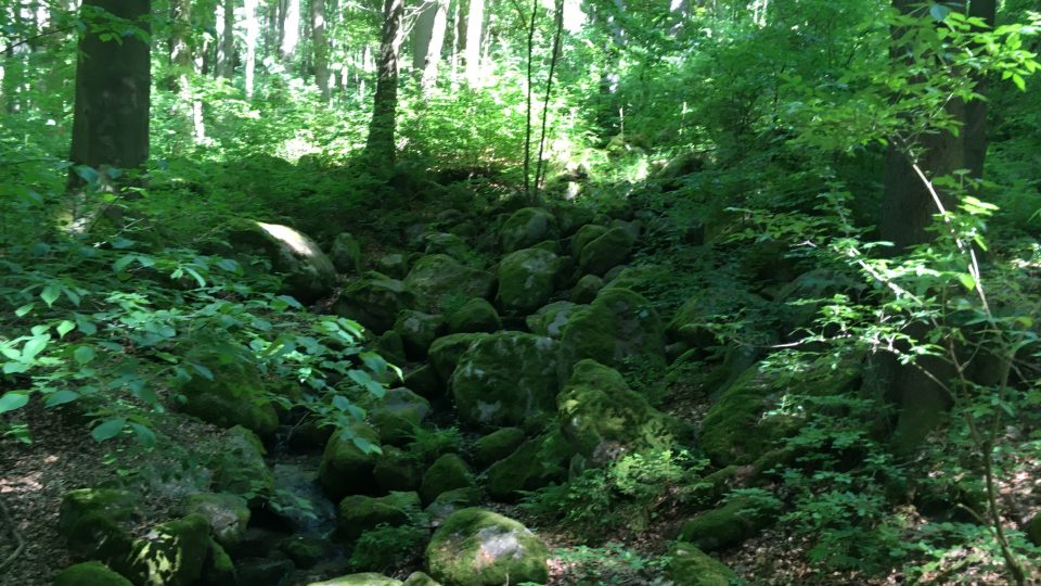 Kamenné moře v geologickém parku v Mariánských Lázních