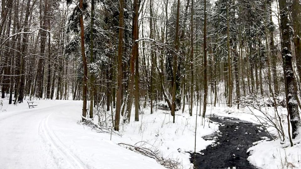 Do Modřanské rokle se můžete vydat i na běžky