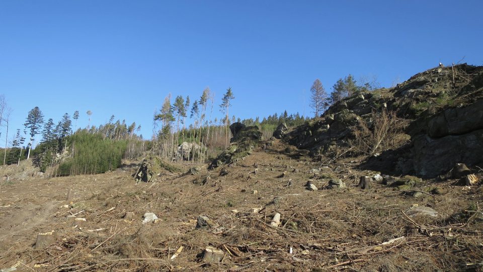 Skály odhaluje těžba kůrovcového dřeva. V pozadí kamenná sfinga