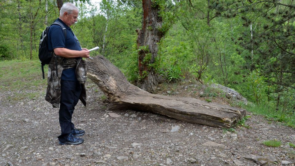 Lehátko v Dalejském údolí, umělecké dílo dávno do přírody zapadlo