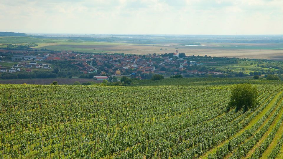 Obec Bořetice v roce 2005 vyhrála soutěž Vesnice roku. Na památku tohoto prvenství vznikla o rok později rozhledna Kraví hora