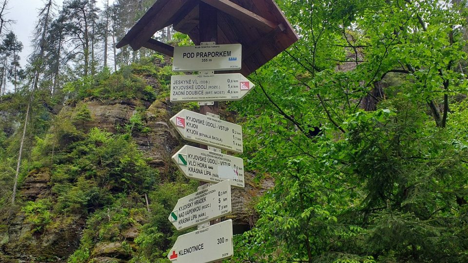 Velký rozcestník na místě zvaném Pod praporkem nabízí řadu odboček | foto: Stanislava Brádlová, Český rozhlas Velký rozcestník na místě zvaném Pod praporkem nabízí řadu odboček