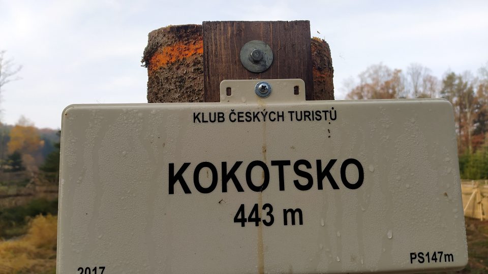 Kokotsko