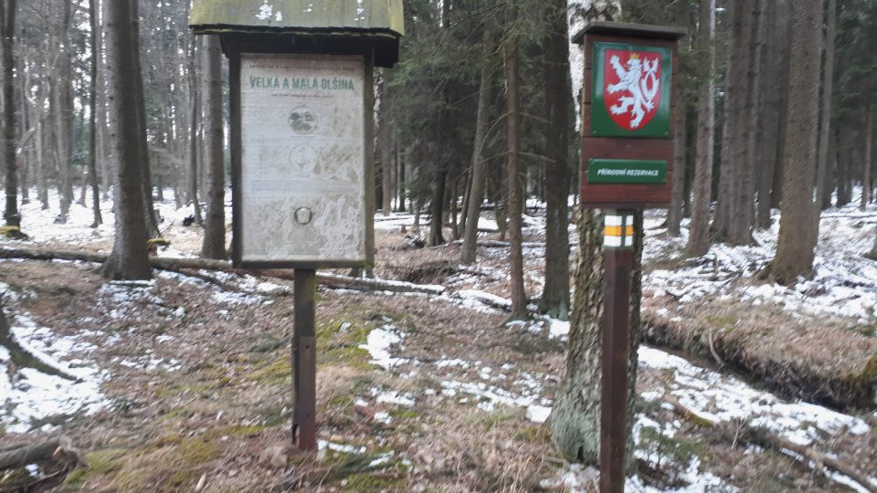 Přírodní rezervace Velká a Malá Olšina | foto: Markéta Vejvodová, Český rozhlas Přírodní rezervace Velká a Malá Olšina