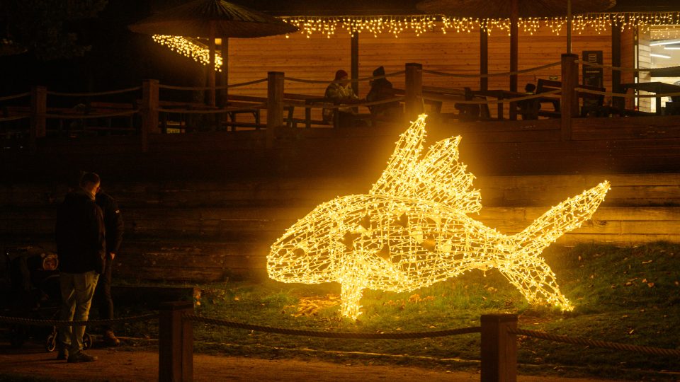 Magický světelný park v areálu Nového rybníku v Příbrami