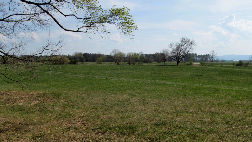 Pohled směrem na Zbudovská blata.JPG