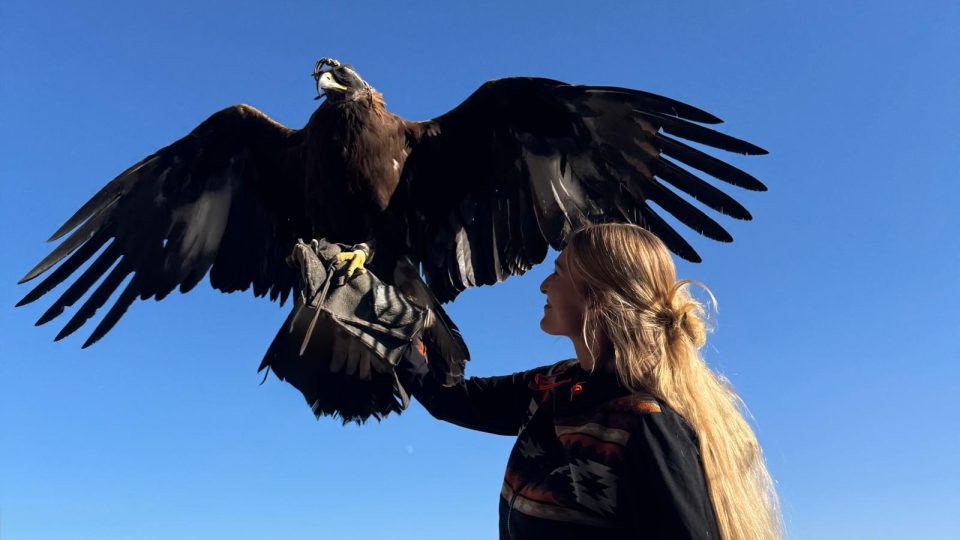 Orel na ruce - staré nomádské umění lovu - Kyrgyzstán