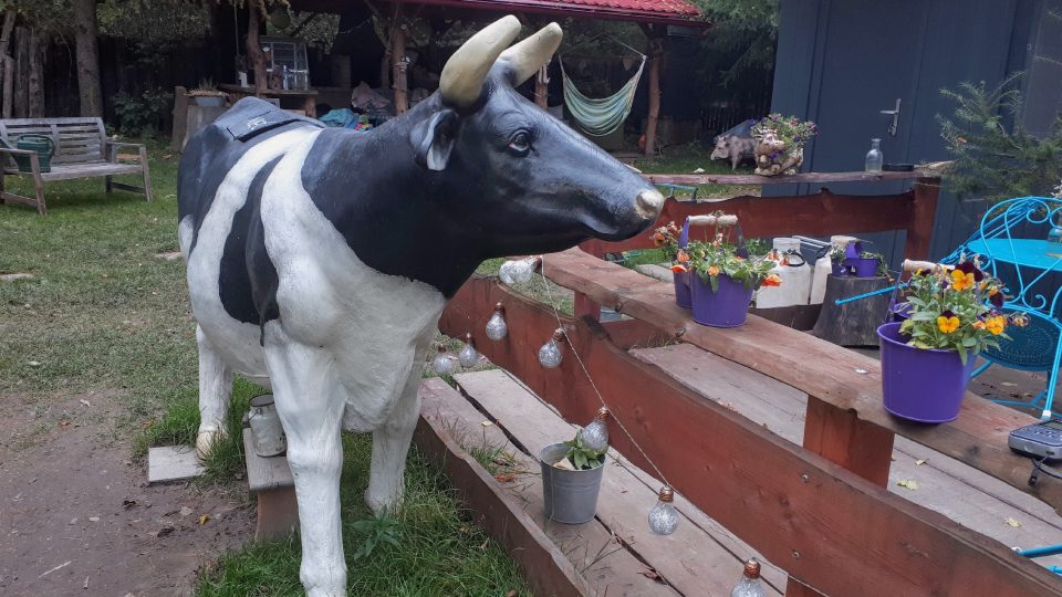 Na farmě je v létě připraveno pro návštěvníky posezení a také tento dojicí trenažér