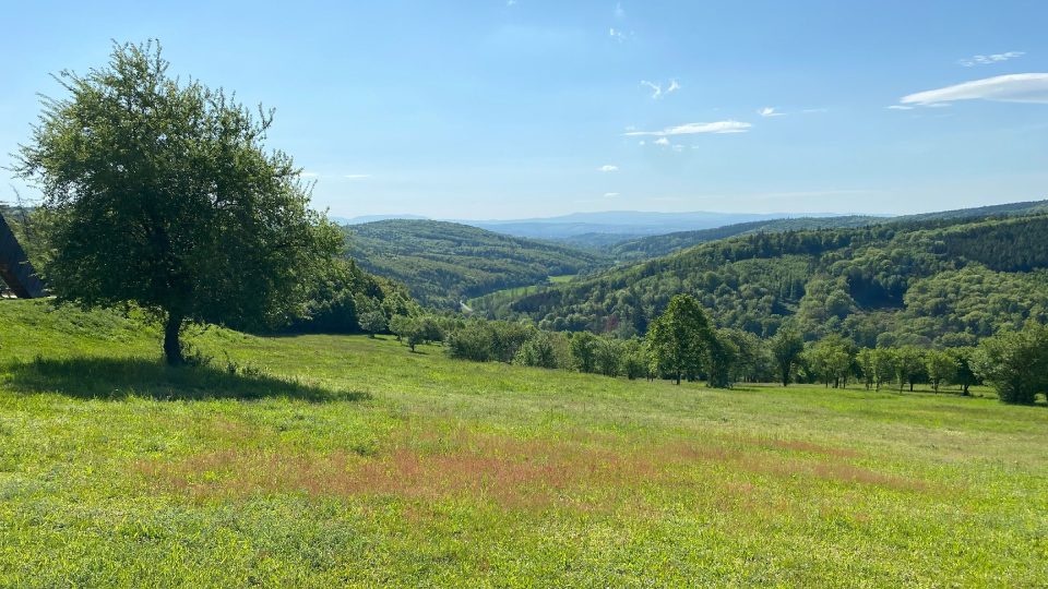 Paseky nad obcí Salaš byly před vystavěním rozhledny zarostlé a zpustlé