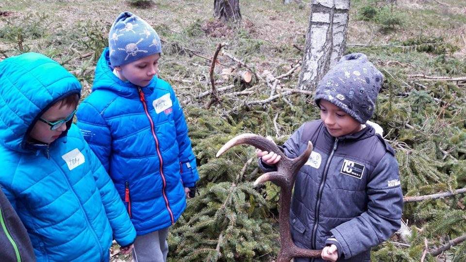 Kluci právě našli paroží, které tam lesní pedagožka Petra Večeřová připravila už před vycházkou - foto Bára Kvapilová.jpg