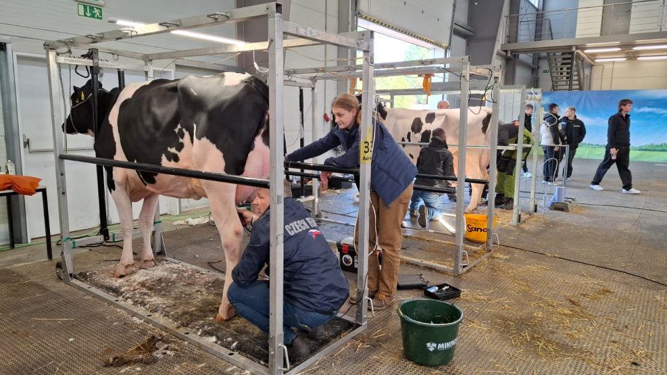 Výstaviště Lysá nad Labem 2025 | foto: Markéta Vejvodová, Český rozhlas Výstaviště Lysá nad Labem 2025