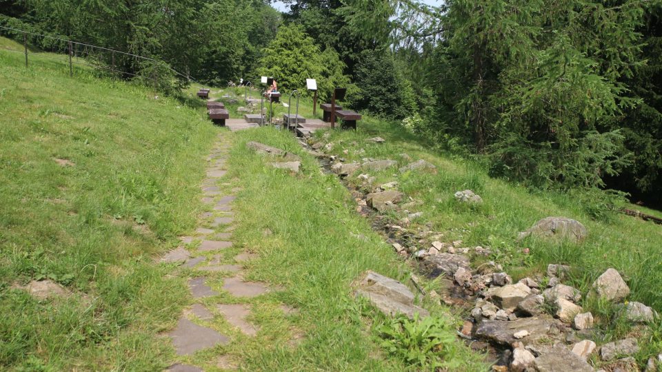 Balneopark umožňuje cévní gymnastiku, kterou způsobuje zahřívání a ochlazování organizmu