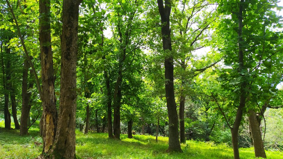 Turisté zde najdou krásné prostředí