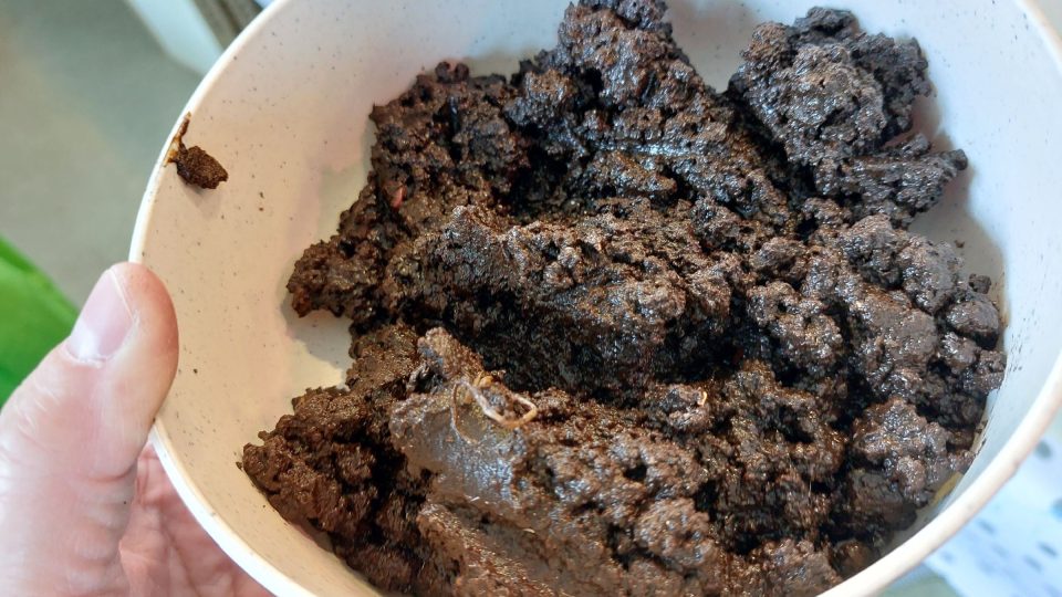 Humus z vermikompostéru je třeba smíchat se substrátem | foto: Irena Šarounová, Český rozhlas Humus z vermikompostéru je třeba smíchat se substrátem