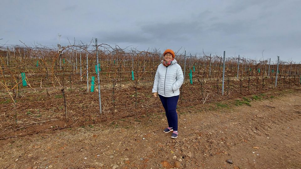 Klára Šinková u jedné z vinic Vinařství Klučov