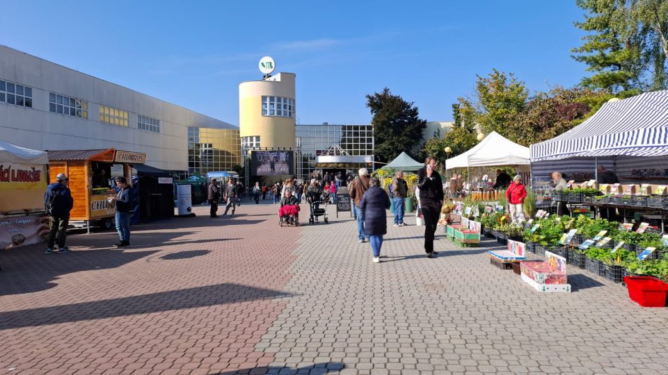 Výstaviště Lysá nad Labem 2025 | foto: Markéta Vejvodová, Český rozhlas Výstaviště Lysá nad Labem 2025