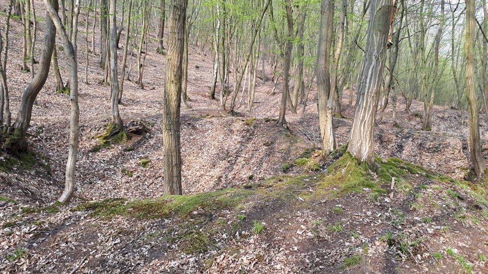 Krajina po středověké těžbě vypadá jako motokrosový terén