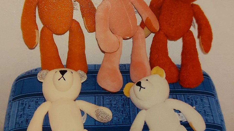 Medvídci na výstavě | foto: Jolana Nováková, Český rozhlas Medvídci na výstavě