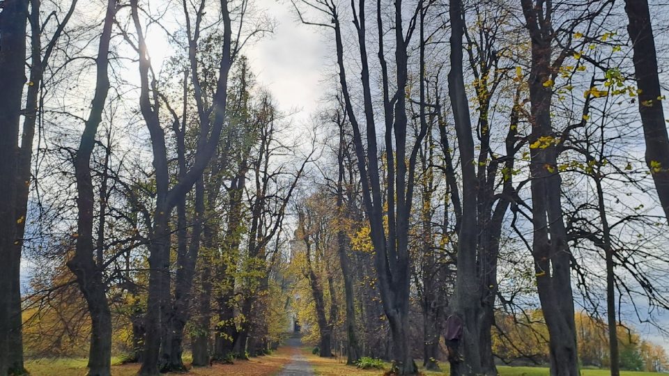 Každé roční období má na Uhlířském vrchu své kouzlo