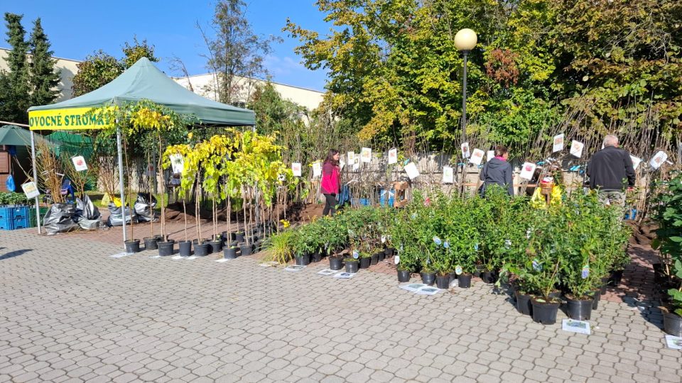 Výstaviště Lysá nad Labem 2025 | foto: Markéta Vejvodová, Český rozhlas Výstaviště Lysá nad Labem 2025