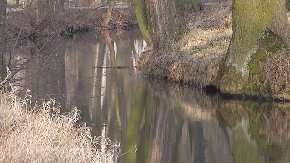 Opatovický kanál u sádek v Bohdanči