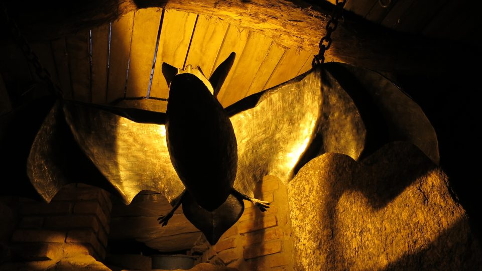 Obří netopýr v útrobách pekelných na Čertovině.JPG