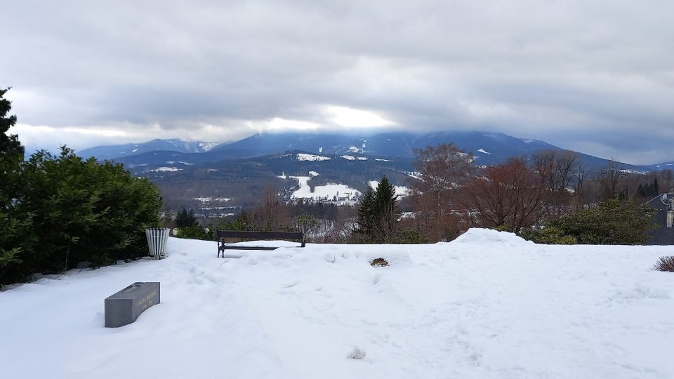 Pohled od Priessnitzova sanatoria | foto: Aleš Spurný, Český rozhlas Pohled od Priessnitzova sanatoria