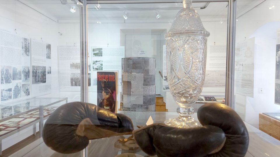 Boxerské rukavice a pohár Vildy Jakše