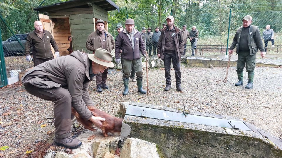 Po umístění psa do nory, vsuku, majitel psa odstupuje a nemůže zkoušku ovlivňovat