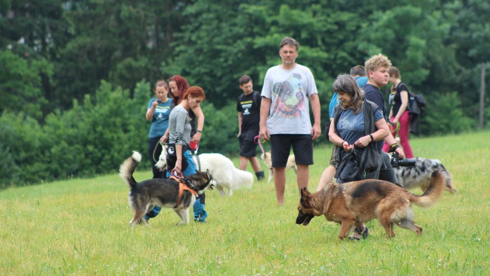Podle Františka Šusty dnešní psi procházejí krizí, protože se u řady plemen mění jejich původní účel