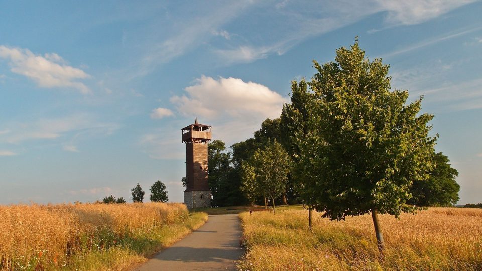 Vrch Hradišť je menší vyvýšenina u obce Kadlín nedaleko Mšena
