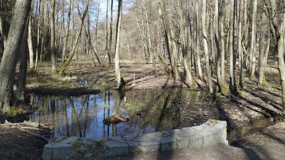 Krásná příroda na naučné stezce