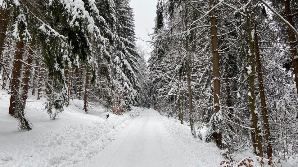 Od obce Tisová se jde k rozhledně širokou cestou